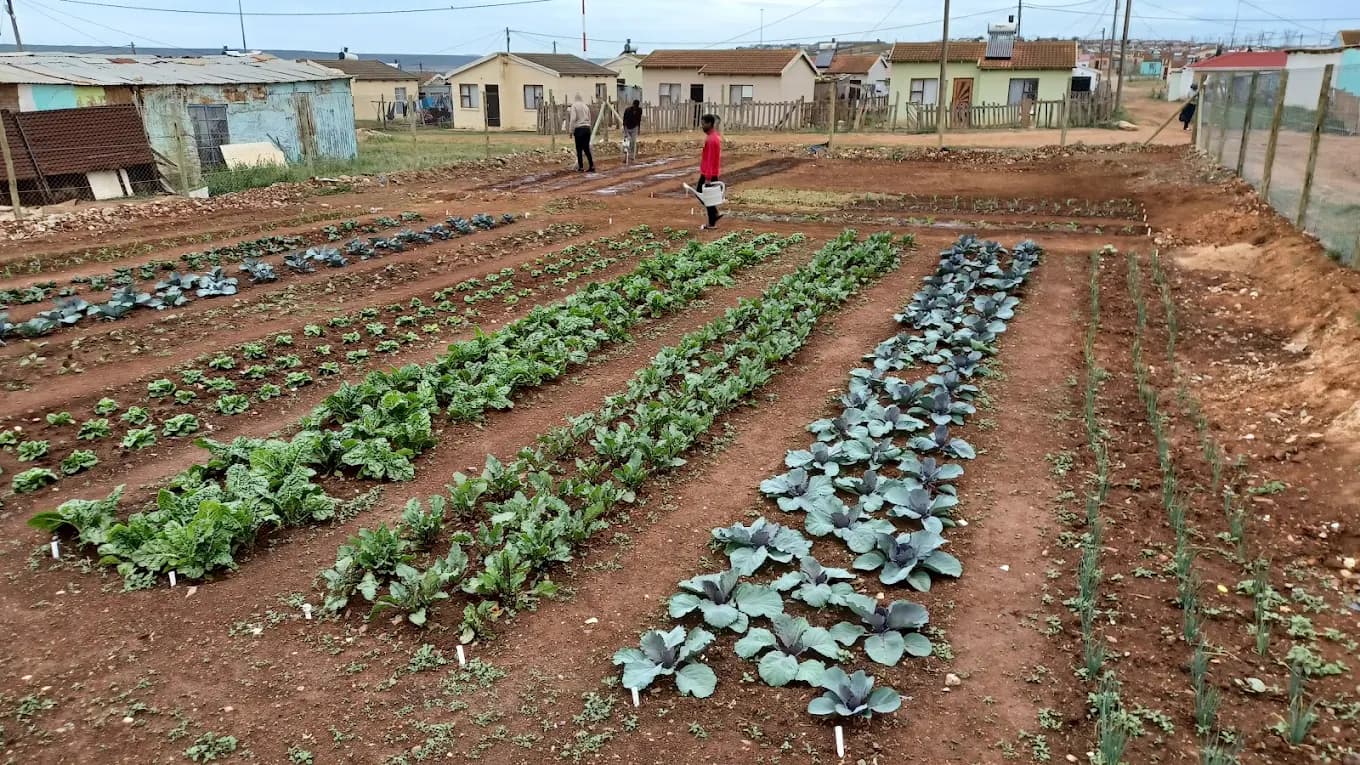 About Ekuphumleni at Joe Slovo